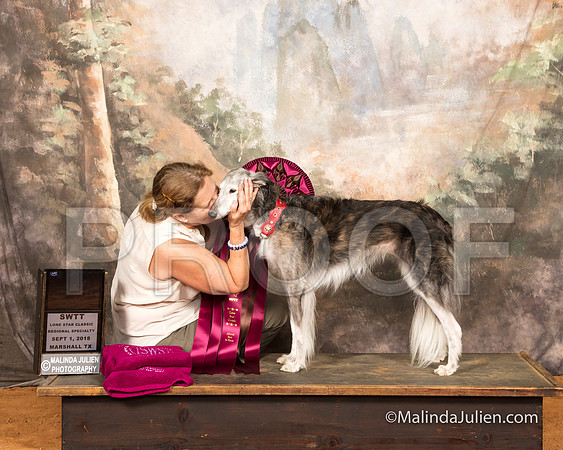 Silken Windhound #40 Sat ABISS Judge Lynn Wall-SSR_9622-MrshllUKC2018-HR3