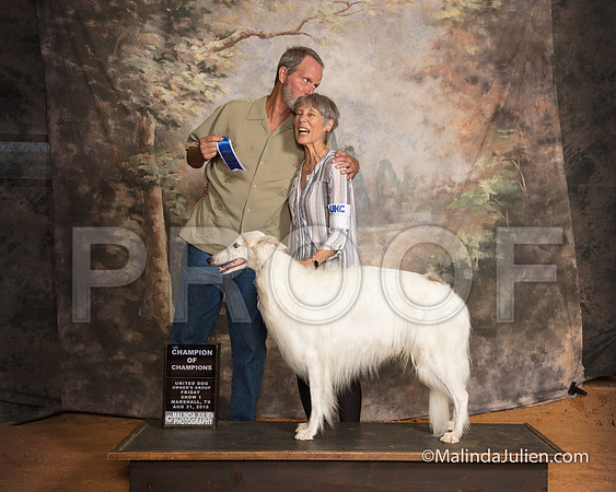 Silken Windhound Fri S1 COC Sandra McGowan-SSR_9388-MrshllUKC2018-HR3