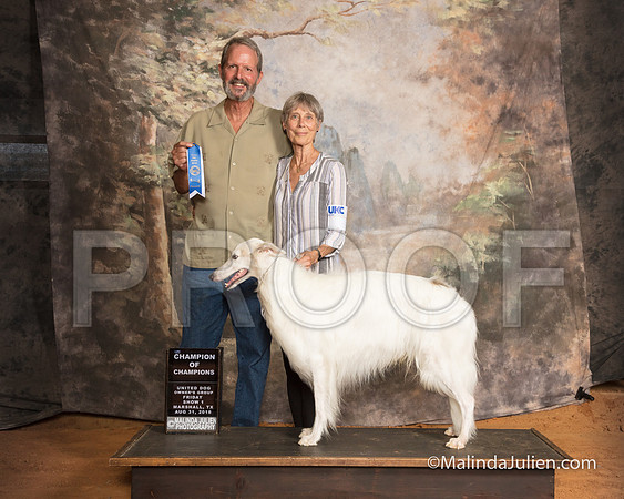 Silken Windhound Fri S1 COC Sandra McGowan-SSR_9390-MrshllUKC2018-HR3