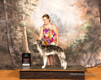 Silken Windhound Fri S2 Jan Decker