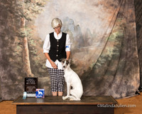Silken Windhound Fri S2 ROI Q Susan Brasel Judge Susan Knowles