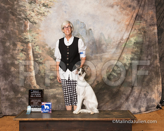 Silken Windhound Fri S2 ROI Q Susan Brasel Judge Susan Knowles-SSR_9498-MrshllUKC2018-HR3