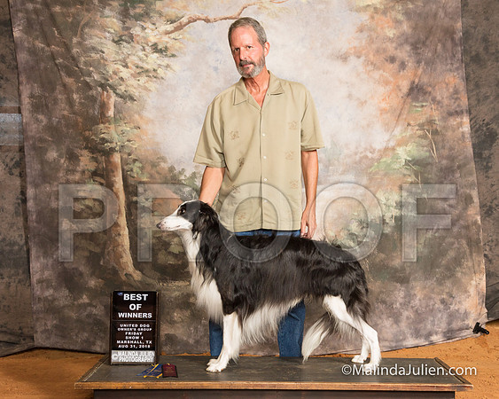 Silken Windhound Fri WB BOW Kent Jones-SSR_9413-MrshllUKC2018-HR3