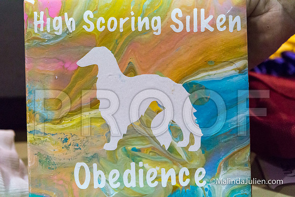 Silken Windhound Sat Candids 2-JJJ_8326-MrshllUKC2018-HR3