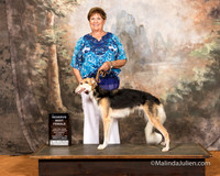 Silken Windhound Sat S2 RBF Madge Breslof