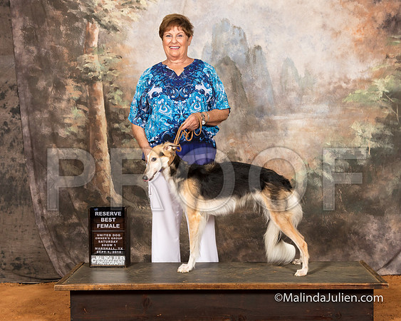 Silken Windhound Sat S2 RBF Madge Breslof-SSR_9651-MrshllUKC2018-HR3