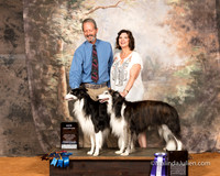 Silken Windhound Sat S2 RBM Luann Sanders