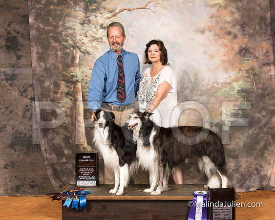 Silken Windhound Sat S2 RBM Luann Sanders-SSR_9663-MrshllUKC2018-HR3