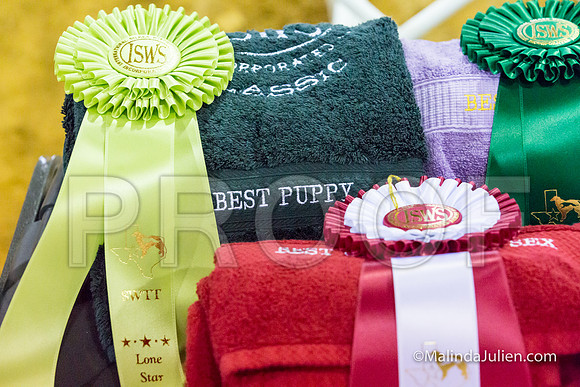 Silken Windhound Specialty -JJJ_8285-MrshllUKC2018-HR3