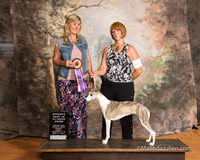 Whippet Fri S1 RBIABS Ruth Booker Judge Cynthia Sanders