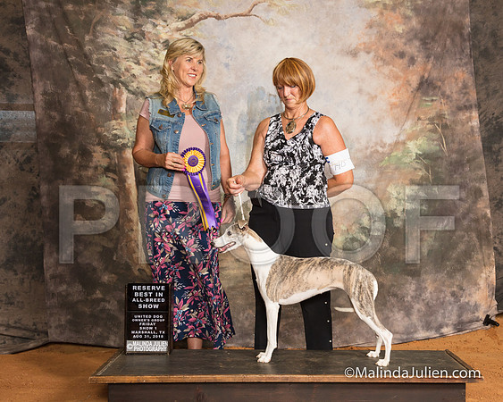 Whippet Fri S1 RBIABS Ruth Booker Judge Cynthia Sanders-SSR_9418-MrshllUKC2018-HR3