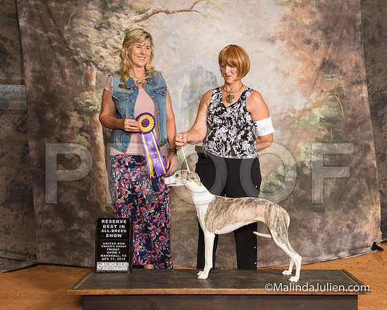 Whippet Fri S1 RBIABS Ruth Booker Judge Cynthia Sanders-SSR_9419-MrshllUKC2018-HR3