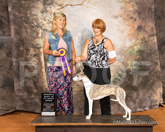 Whippet Fri S1 RBIABS Ruth Booker Judge Cynthia Sanders-SSR_9421e1-MrshllUKC2018-HR3