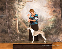 Whippet Sun S1 Ruth Booker RESHOOT