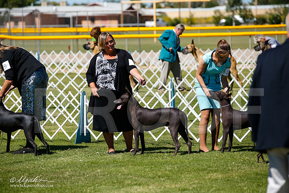 _JJ_8322-AlamogordoOct2014-HR3