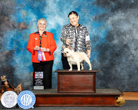 Cindy Knox Marshall 2024