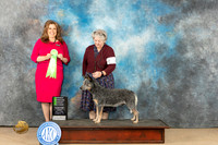 Australian Cattle Dog #5 Fri OHG2 Judge Stephanie Kaul