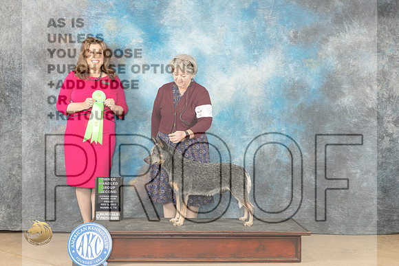 Australian Cattle Dog #5 Fri OHG2 Judge Stephanie Kaul_JP_9769_CCKC2023_HR3