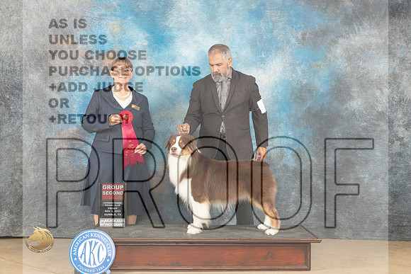 Australian Shepherd #15 Fri G2 Judge Nancy Eilks_JP_9712_CCKC2023_HR3