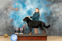Beauceron #7 Fri BOS Judge Nancy Eilks