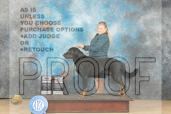 Beauceron #7 Fri BOS Judge Nancy Eilks_JP_9782_CCKC2023_HR3
