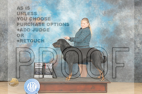 Beauceron #7 Fri BOS Judge Nancy Eilks_JP_9784_CCKC2023_HR3