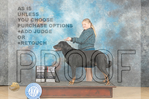 Beauceron #7 Fri BOS Judge Nancy Eilks_JP_9787_CCKC2023_HR3