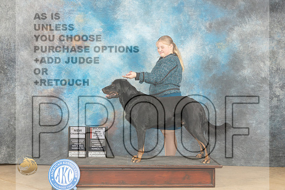 Beauceron #7 Fri BOS Judge Nancy Eilks_JP_9788_CCKC2023_HR3
