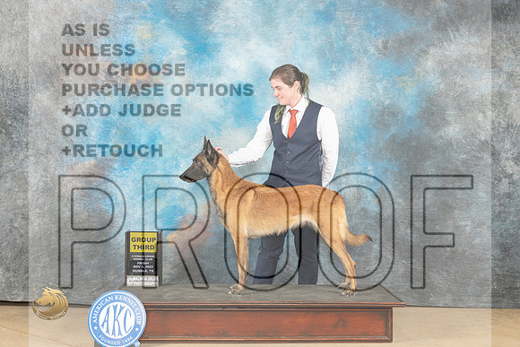 Belgian Malinois #6 Fro G3 Judge Nancy Eilks_JP_9776_CCKC2023_HR3