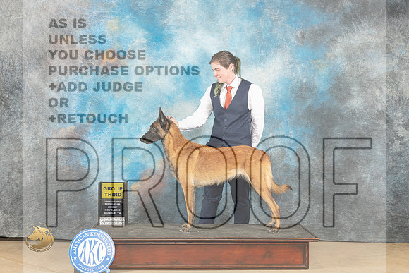 Belgian Malinois #6 Fro G3 Judge Nancy Eilks_JP_9778_CCKC2023_HR3