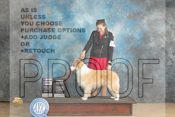 Border Collie #9 Fri WD Judge Nancy Eilks_JP_9735_CCKC2023_HR3