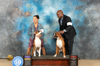 Boxer #10 & 9 Fri BOBBOS Judge Dianne Collings