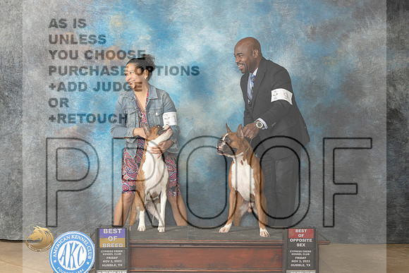 Boxer #10 & 9 Fri BOBBOS Judge Dianne Collings_JP_9582_CCKC2023_HR3