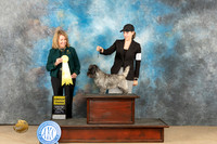 Cairn Terrier #6 Fri G3 Judge Connie Clark
