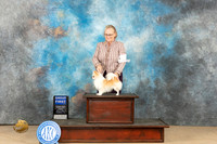 Chihuahua Long Coat #15 Fri G1 Judge Connie Clark