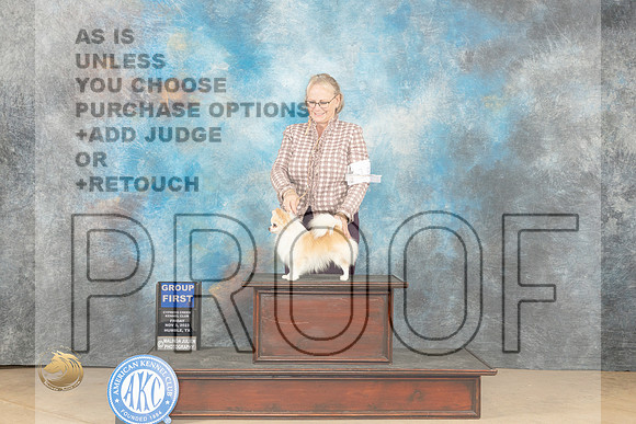 Chihuahua Long Coat #15 Fri G1 Judge Connie Clark_JP_9738_CCKC2023_HR3