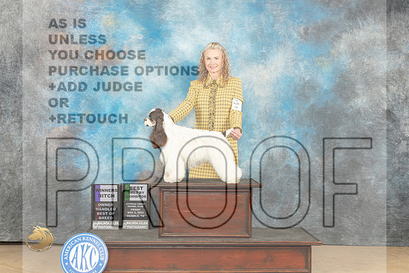 Cocker Spaniel Parti #8 Fri WBOHBOBBBE Judge Diane Kroll_JP_9646_CCKC2023_HR3