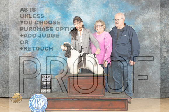 Cocker Spaniel Parti #9 Fri SD Judge Dianne Kroll_JP_9809_CCKC2023_HR3
