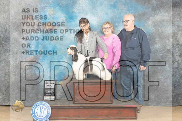 Cocker Spaniel Parti #9 Fri SD Judge Dianne Kroll_JP_9814_CCKC2023_HR3