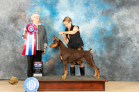 Doberman Pinscher #34 Fri BIS Judge Lori Nelson