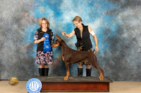 Doberman Pinscher #34 Fri G1 Judge Diane Collings