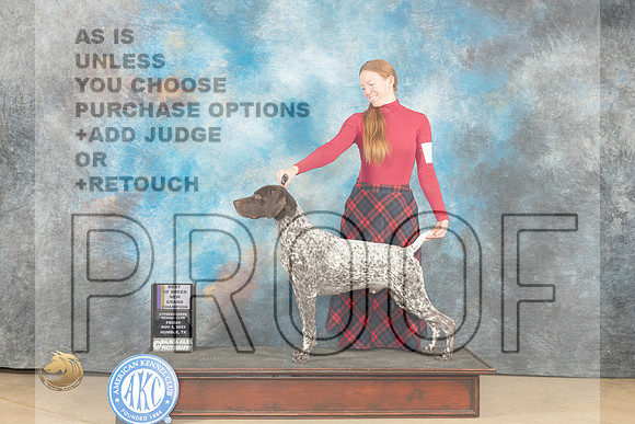 German Shorthaired Pointer #7 Fri BOBGCH Judge Diane Kroll_JP_9702_CCKC2023_HR3