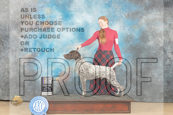 German Shorthaired Pointer #7 Fri BOBGCH Judge Diane Kroll_JP_9701_CCKC2023_HR3