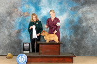 Norwich Terrier #5 Fri G4 Judge Connie Clark
