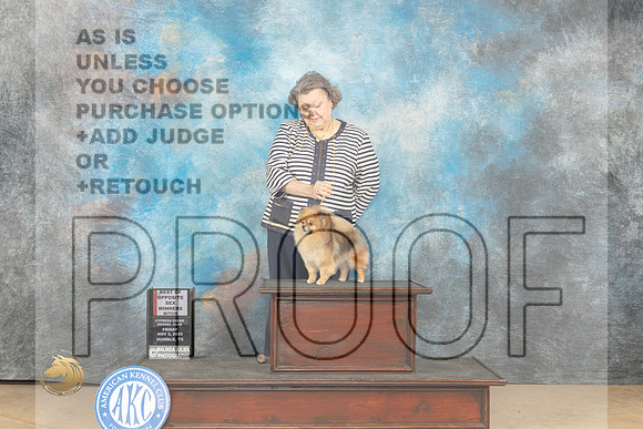 Pomeranian #6 Fri WBBOS Judge Connie Clark_JP_9628_CCKC2023_HR3