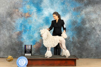 Poodle Std #20 Fri BOV Judge Debra Ferguson