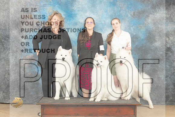 Samoyed family Fri_JP_9601_CCKC2023_HR3