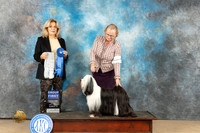 Tibetan Terrier #6 Fri G1 Judge Debra Ferguson