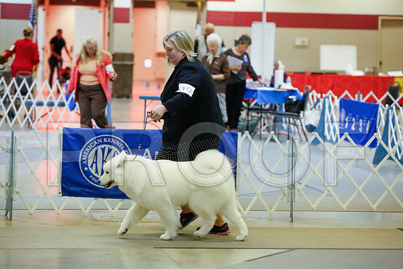 _JJ_9466-AmarilloSept2014-HR3