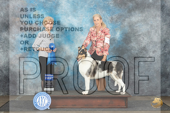 Collie Smooth #7 Mon G1 Judge June Penta__JP_4592_Lubbock_2024_HR3